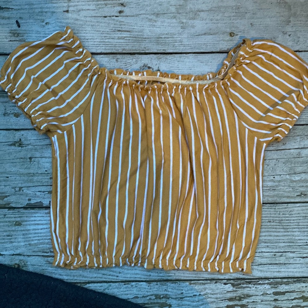 American Eagle Cropped Off the Shoulder Top